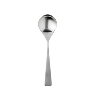 Trigon Metal Serving Spoon